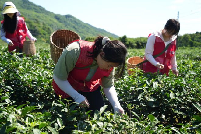 暑期“三下乡”（下） 相约今夏川影人以艺术之力服务乡村long8官方网站(图17)